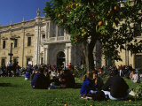 Sevilla University, Built in the 1750s as the State Tobacco Factory, Seville, Andalucia, Spain Photographic Print by Duncan Maxwell
