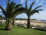 Promenade and Beach at Cala De Fuste, Fuerteventura, Canary Islands, Spain, Atlantic Photographic Print by Nigel Francis