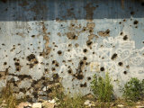 War Damaged Building, Sarajevo, Bosnia, Bosnia-Herzegovina Photographic Print by Graham Lawrence