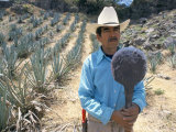 Tequila Plantation Worker, Mexico, North America Photographic Print by Michelle Garrett