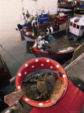 Fish and Fishing Boats, France Photographic Print by Michelle Garrett