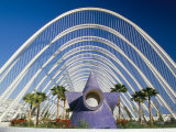 Umbracle, Architect Santiago Calatrava, Spain Photographic Print by Marco Simoni