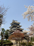 Cherry Blossoms, Matsumoto Castle, Matsumoto City, Nagano Prefecture, Honshu Island, Japan,Asia Photographic Print by Christian Kober
