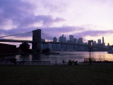 Manhattan Skyline and Brooklyn Bridge, New York, New York State, USA Photographic Print by Yadid Levy