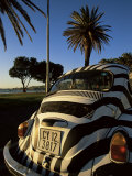 Back of a Beetle Car Painted in Zebra Stripes, Cape Town, South Africa, Africa Photographic Print by Yadid Levy