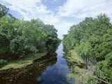 Bayou in Swampland at Jean Lafitte National Historic Park and Preserve, Louisiana, USA Photographic Print by Robert Francis