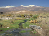 Stream in the Atacama Desert with the Andes on the Horizon, San Pedro De Atacama Region, Chile Photographic Print by Robert Francis