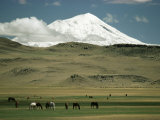 Mount Ararat, Anatolia, Turkey, Eurasia Photographic Print by Christina Gascoigne