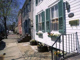 Exterior of Houses on a Typical Street, Annapolis, Maryland, USA Photographic Print by I Vanderharst