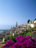 Bougainvillea in Flower, Menton, Alpes-Maritimtes, Cote d'Azur, Provence, French Riviera, France Photographic Print by Ruth Tomlinson