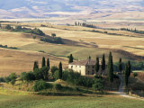 Farmhouse and Cypress Trees in the Early Morning, San Quirico d'Orcia, Tuscany, Italy Photographic Print by Ruth Tomlinson
