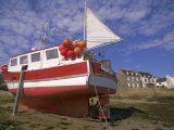 Ile Molene (Ile De Molene) (Molene Island), Brittany, France Photographic Print by Guy Thouvenin