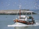 Fishing Boat Returning from Fishing, Deauville, Normandy, France Photographic Print by Guy Thouvenin
