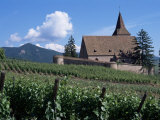 Hunawihr, Alsace, France Photographic Print by Guy Thouvenin