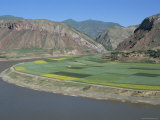 Rape and Barley Fields by the Yellow River at Lajia, Qinghai Province, China, Photographic Print