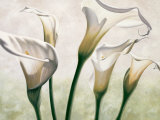 Luce Kunstdrucke von Eva Barberini