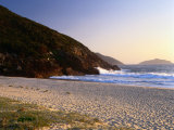 Early Morning at Box Beach, Tomaree National Park, Port Stephens, New South Wales, Australia Photographic Print by Ross Barnett