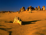 Late Afternoon Light on Limestone Pillars in Pinnacles Desert, Western Australia Photographic Print by Ross Barnett