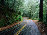 Rain and Wet Roads through the California Forests, California Photographic Print by Thomas Winz