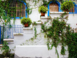 White-Washed Adobe House in Zona Centro, Mexico Photographic Print by Anthony Plummer