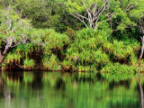 Mardugal Billabong, Kakadu National Park, Northern Territory, Australia Photographic Print by John Banagan