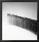 Forest Edge, Hokuto, Hokkaido, Japan, 2004  Prints by Michael Kenna