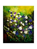 Campanulas 56 Estampe par Ledent 