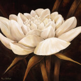 Delightful  Print by Rian Withaar