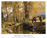 Fall Colors Posters by Robert Dawson