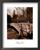 Central Park Bridge II  Poster by Christopher Bliss