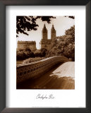 Central Park Bridge I  Prints by Christopher Bliss