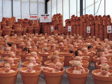 123 Pots Poster von Anne Geddes