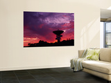 Otc-Ceduna Satellite Station at Dawn, South Australia Wall Mural