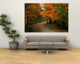 Country Road in the Fall, Vermont, USA Wall Mural by Charles Sleicher