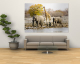 African Elephants and Giraffe at Watering Hole, Namibia Wall Mural by Joe Restuccia III