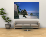 Rocky Coast of Point Source d'Argent, Seychelles Wall Mural by Nik Wheeler
