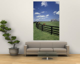 Thoroughbred in the Countryside, Kentucky, USA Wall Mural by Michele Molinari