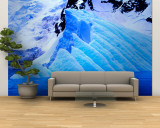 Blue Icebergs, Antarctica Wall Mural by Joe Restuccia III