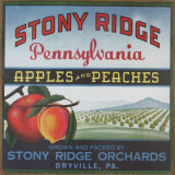 Stony Ridge Tin Sign