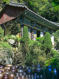 Buddhist Temple in Mountains Above Taegu, South Korea Photographic Print by Dennis Flaherty