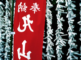 Fortune Papers at Shinto Shrine, Tokyo, Japan Photographic Print by Nancy & Steve Ross