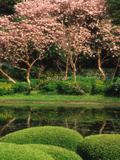 Reflecting Pond, Imperial Palace East Gardens, Tokyo, Japan Photographic Print by Nancy & Steve Ross