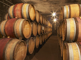 Chapoutier Winery's Barrel Aging Cellar with Oak Casks, Domaine M Chapoutier, Tain L'Hermitage Photographic Print by Per Karlsson