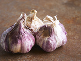 Fresh Violet and White Garlic, Clos Des Iles, Le Brusc, Cote d'Azur, Var, France Photographic Print by Per Karlsson