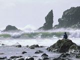 Beach at Lappish, Olympic National Park, Washington, USA Photographic Print by Charles Sleicher