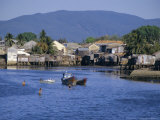 Fishermen's Houses, Boats and Weed Gatherers, Nha Trang, Vietnam, Indochina, Southeast Asia, Asia Photographic Print by Anthony Waltham