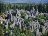 Limestone Pinnacles in Shilin, Stone Forest, at Lunan, Yunnan, China Photographic Print by Anthony Waltham