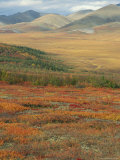 Autumnal Hues in Landscape of the Richardson Mountains, Yukon, Canada Photographic Print by Anthony Waltham