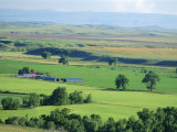 The Great Grasslands Valley of the Little Bighorn River, Near Billings, Montana, USA Photographic Print by Anthony Waltham