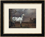 The Piebald Horse, 1653 Framed Giclee Print by Paulus Potter
